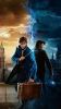 Kufr plný záhad (Newt Scamander FF) - 5. kapitola